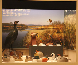 福生市の自然と人々のくらし